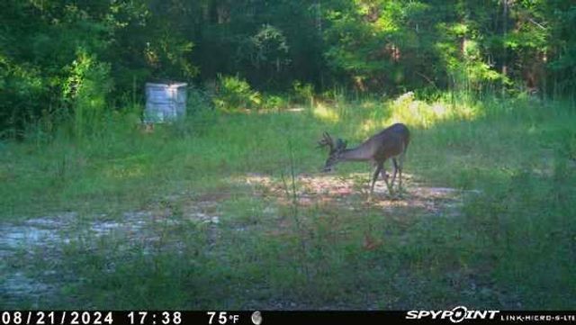 Parcel A Sunburst Drive, Crestview, FL 32539