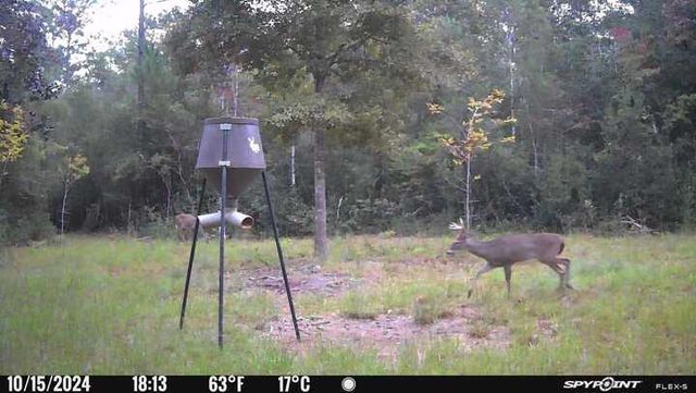 Parcel A Sunburst Drive, Crestview, FL 32539