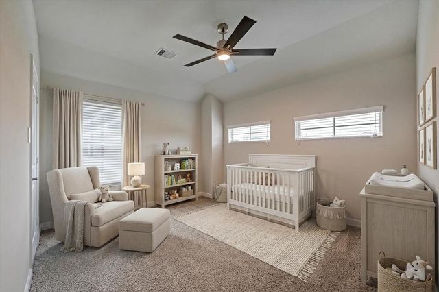 3115 Red Buckeye Lane, Conroe, TX 77301