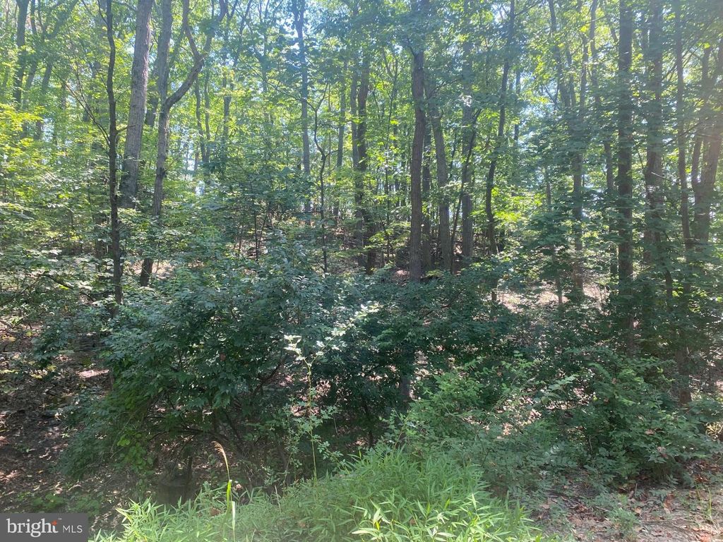 Image 23 of property listing at 7125 EDGEMONT RD, Frederick, MD 21702