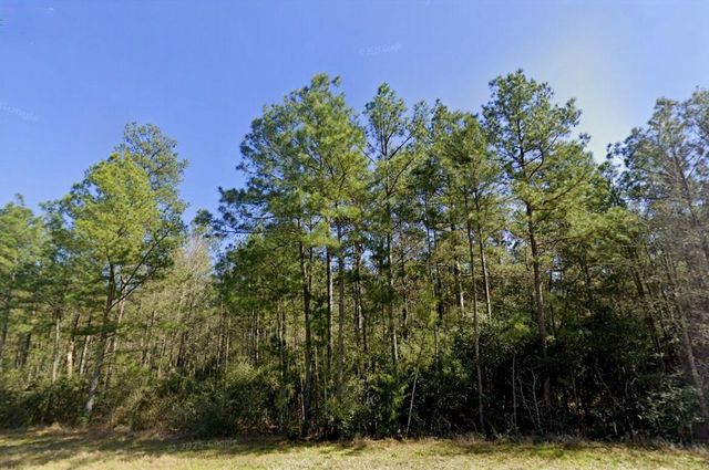 12016 Dawn Tree Lane, Willis, TX 77378