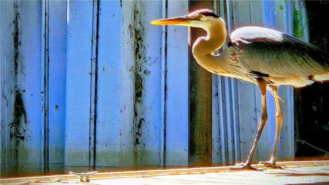 15198 Harbor, Clearlake, CA 95422