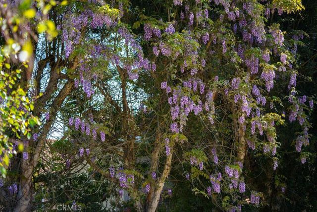 1 Sand Oaks, Laguna Niguel, CA 92677