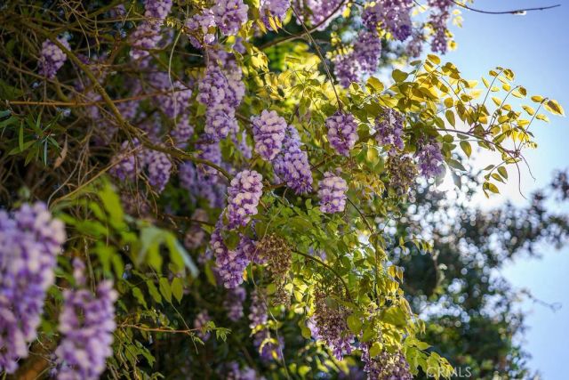 1 Sand Oaks, Laguna Niguel, CA 92677