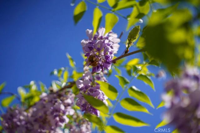 1 Sand Oaks, Laguna Niguel, CA 92677