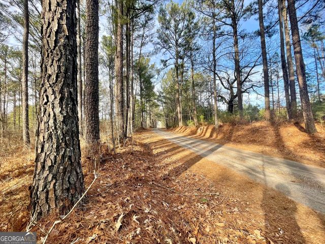 0 Padgett Road LOT 12, Senoia, GA 30276