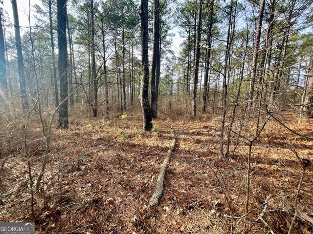 0 Padgett Road LOT 12, Senoia, GA 30276