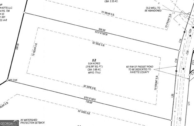0 Padgett Road LOT 12, Senoia, GA 30276