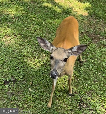 38 TRIBUTARY LN, Millville, DE 19967