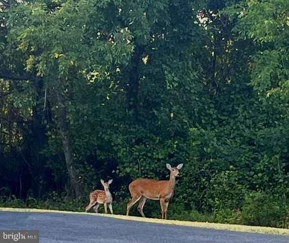 38 TRIBUTARY LN, Millville, DE 19967