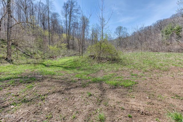 111 Hughes Hollow Road, Roan Mountain, TN 37687