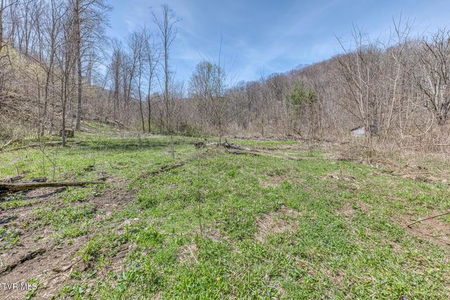 111 Hughes Hollow Road, Roan Mountain, TN 37687