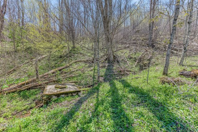 111 Hughes Hollow Road, Roan Mountain, TN 37687