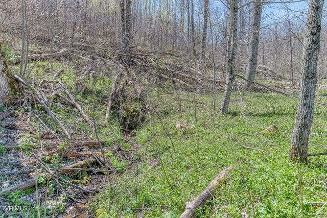 111 Hughes Hollow Road, Roan Mountain, TN 37687