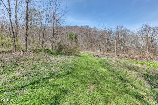 111 Hughes Hollow Road, Roan Mountain, TN 37687