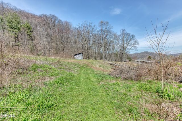 111 Hughes Hollow Road, Roan Mountain, TN 37687