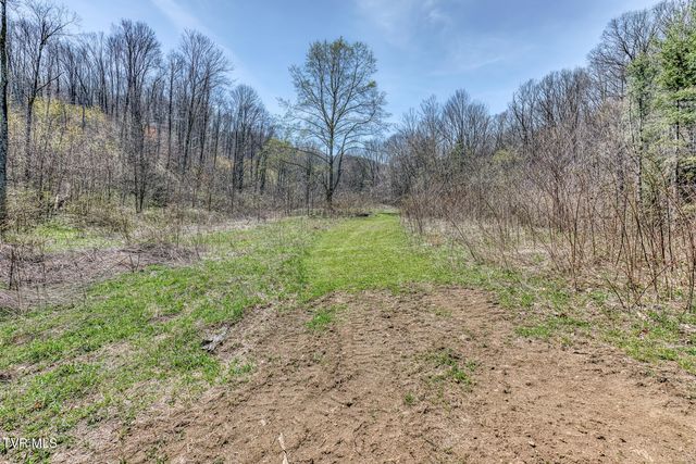 111 Hughes Hollow Road, Roan Mountain, TN 37687