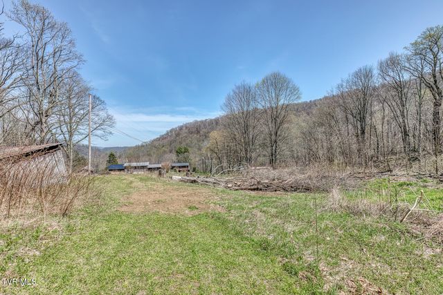 111 Hughes Hollow Road, Roan Mountain, TN 37687