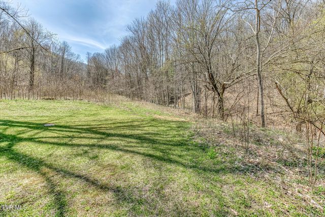 111 Hughes Hollow Road, Roan Mountain, TN 37687