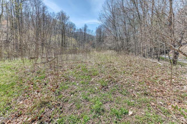 111 Hughes Hollow Road, Roan Mountain, TN 37687
