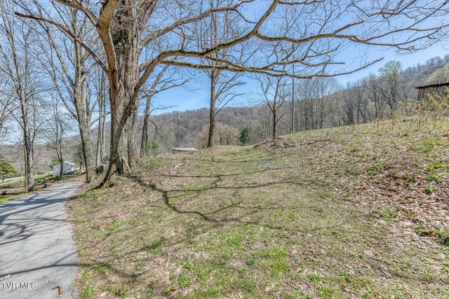111 Hughes Hollow Road, Roan Mountain, TN 37687