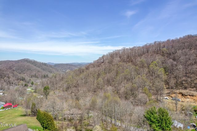 111 Hughes Hollow Road, Roan Mountain, TN 37687
