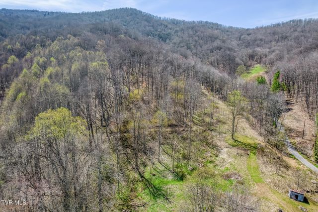 111 Hughes Hollow Road, Roan Mountain, TN 37687