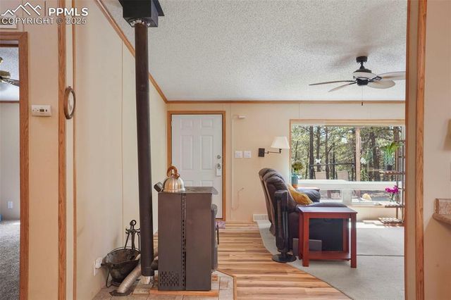 2450 Pathfinder Road, Florissant, CO 80816