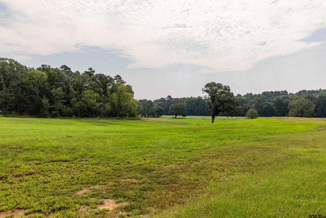 1323 AN County Road 153, Palestine, TX 75801