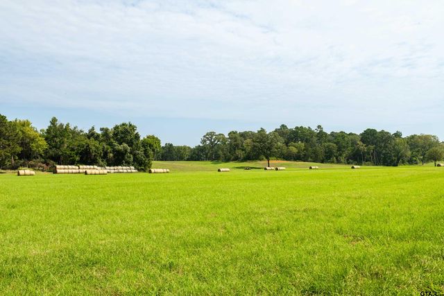 1323 AN County Road 153, Palestine, TX 75801