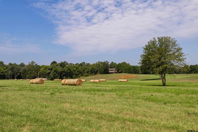 1323 AN County Road 153, Palestine, TX 75801