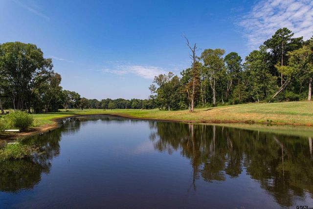 1323 AN County Road 153, Palestine, TX 75801