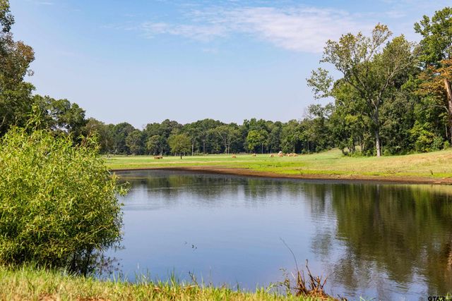 1323 AN County Road 153, Palestine, TX 75801