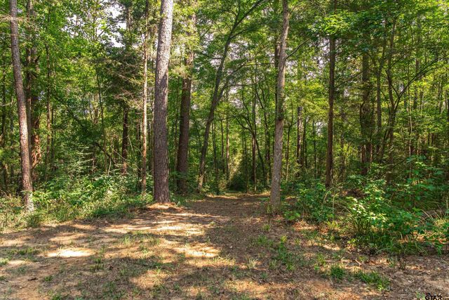 1323 AN County Road 153, Palestine, TX 75801