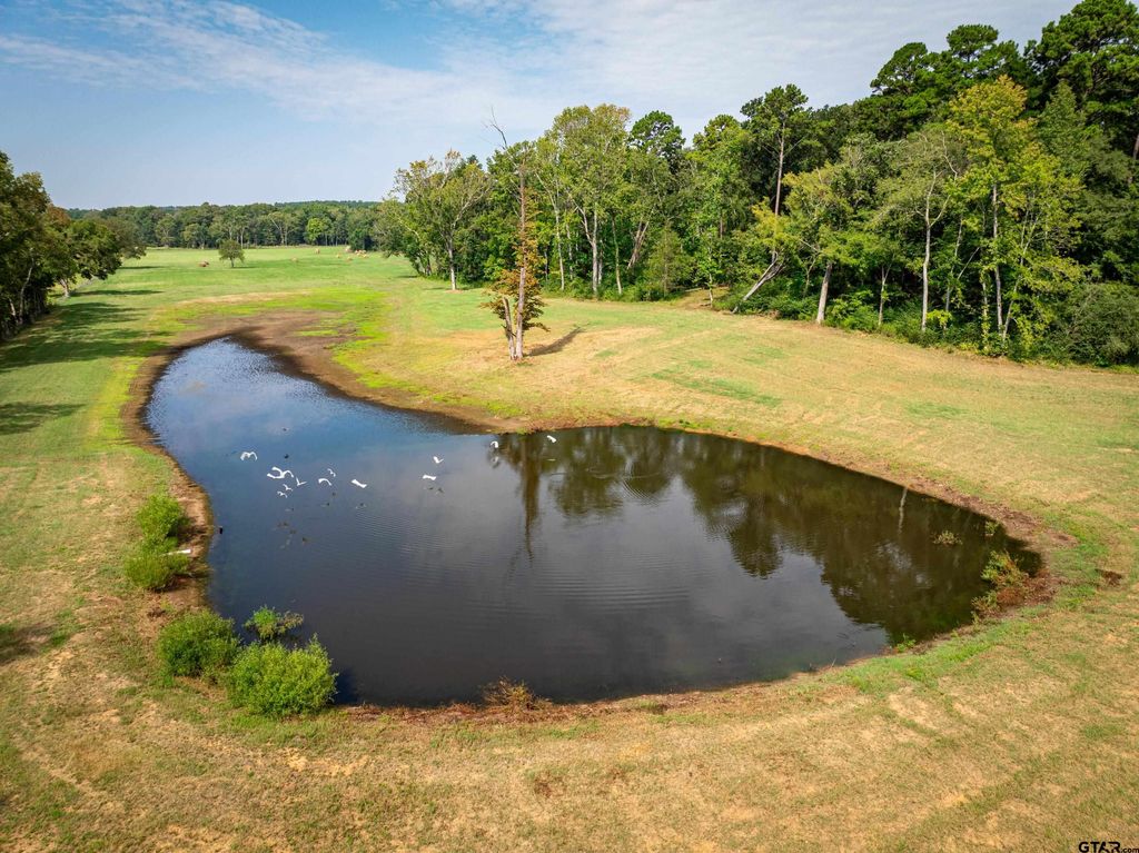 1323 AN County Road 153, Palestine, TX 75801