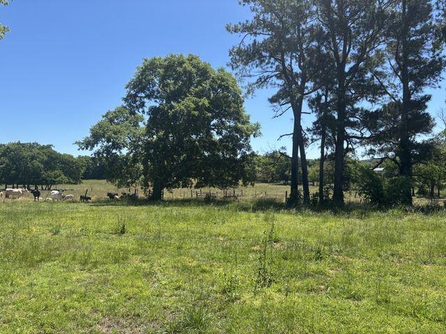 10171 Rockvale Rd, Rockvale, TN 37153