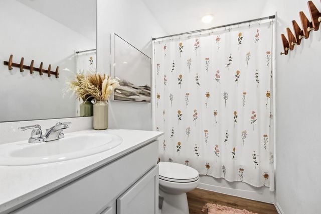 24723 Wilburn Park Lane, Hockley, TX 77447