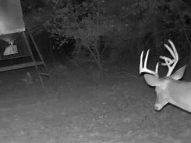 3476 VZ County Road 3908, Wills Point, TX 75169