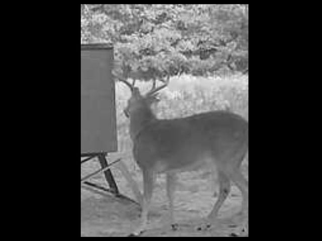 3476 VZ County Road 3908, Wills Point, TX 75169