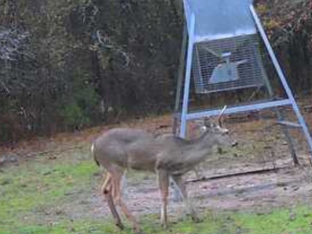 3476 VZ County Road 3908, Wills Point, TX 75169