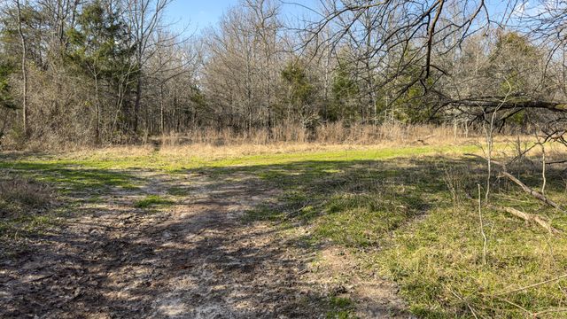 3476 VZ County Road 3908, Wills Point, TX 75169