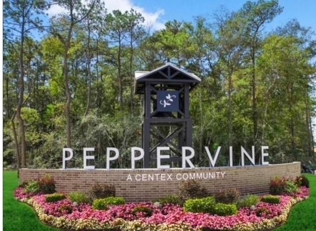 21460 Austell Pond Drive, Porter, TX 77365