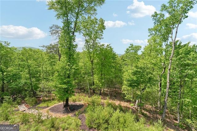 252 Wild Turkey Bluff, Big Canoe, GA 30143