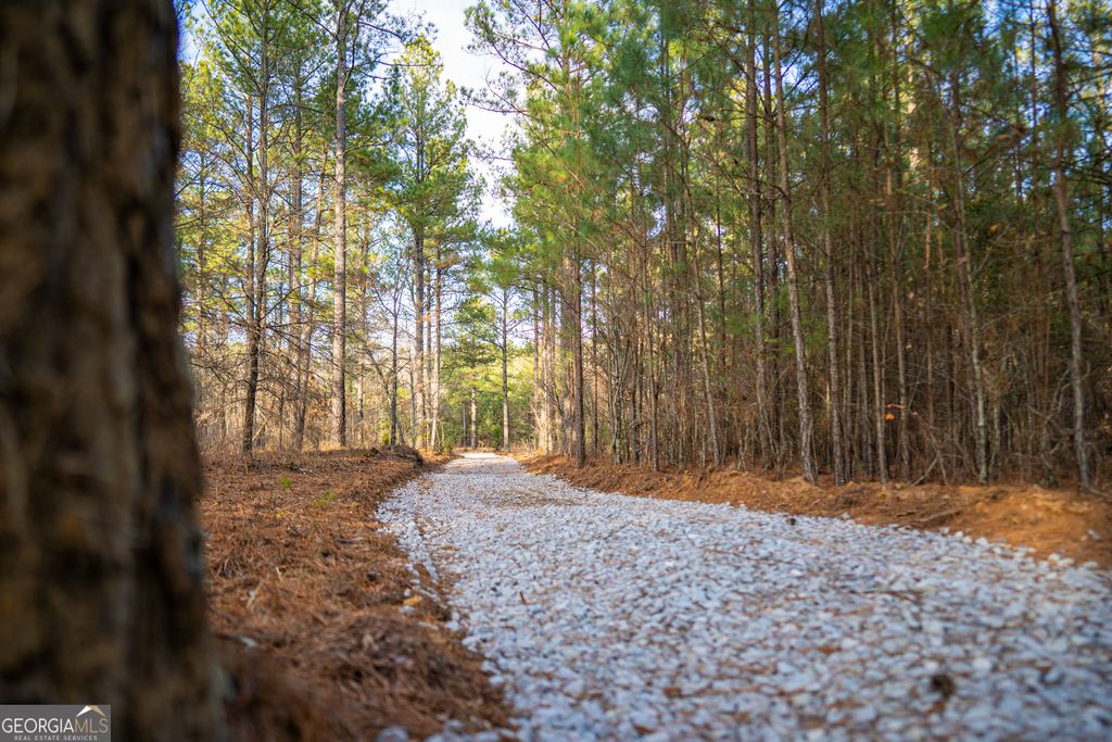 3 Smith Rocky Branch Road, Carlton, GA 30627 — exterior