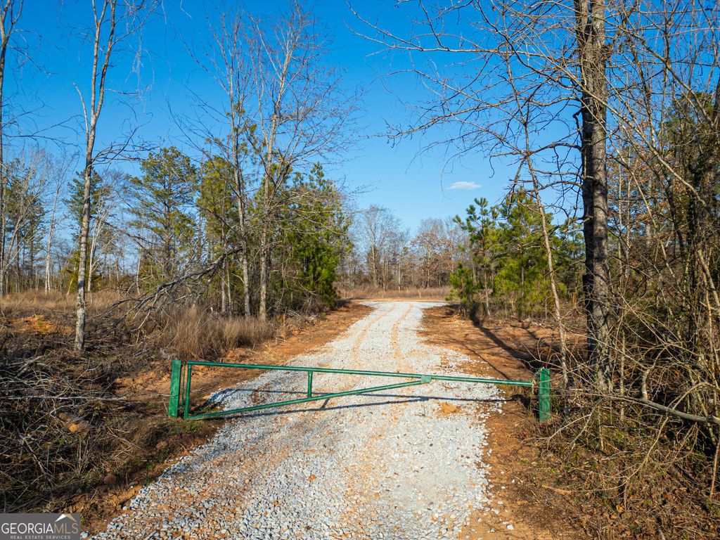 3 Smith Rocky Branch Road, Carlton, GA 30627 — photo 2