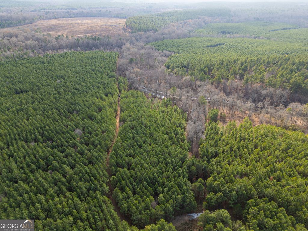 3 Smith Rocky Branch Road, Carlton, GA 30627 — photo 4