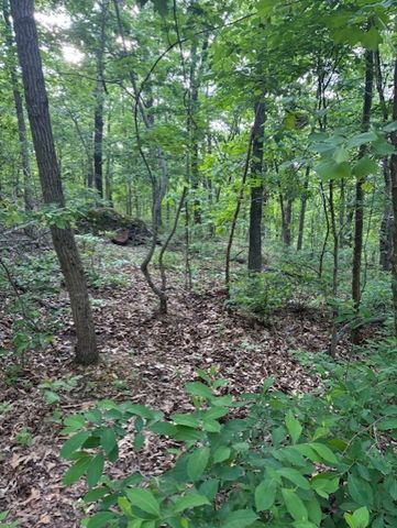 Eston Lane, Bella Vista, AR 72714