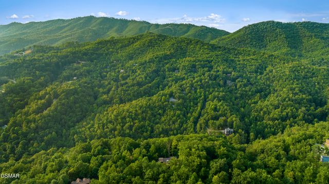 564 Thissa Way, Gatlinburg, TN 37738