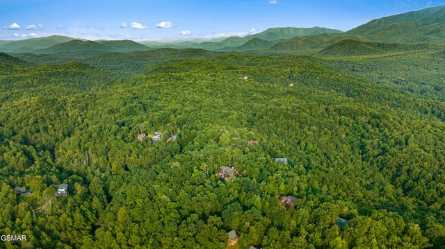 564 Thissa Way, Gatlinburg, TN 37738