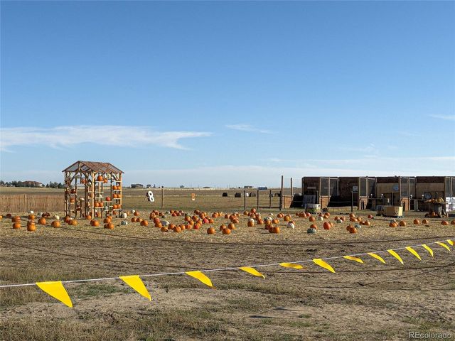 9 Timberlake Ct, Byers, CO 80103